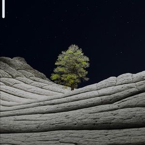 Meet your Posher, Catina